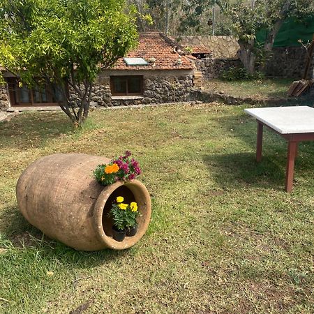 Rural House To Take A Break, La Serreria 25 - Private Garden 塔科龙特 外观 照片