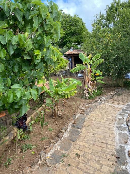 Rural House To Take A Break, La Serreria 25 - Private Garden 塔科龙特 外观 照片