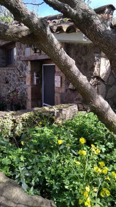 Rural House To Take A Break, La Serreria 25 - Private Garden 塔科龙特 外观 照片
