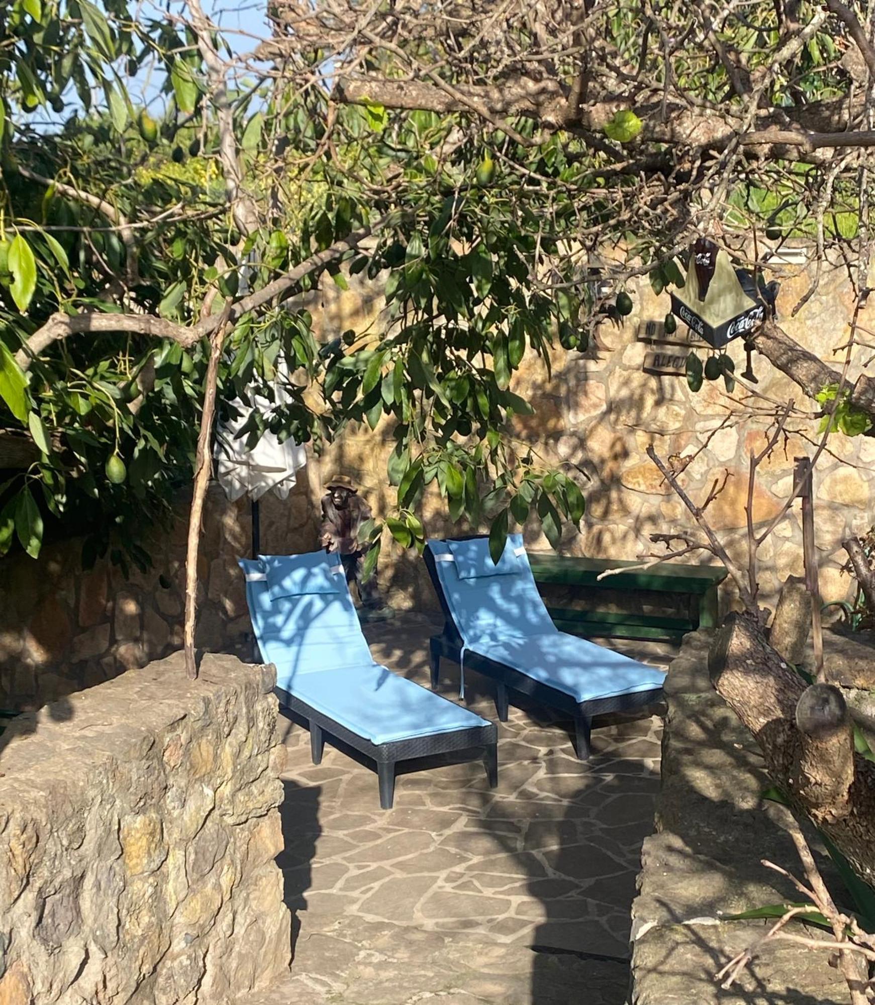 Rural House To Take A Break, La Serreria 25 - Private Garden 塔科龙特 外观 照片