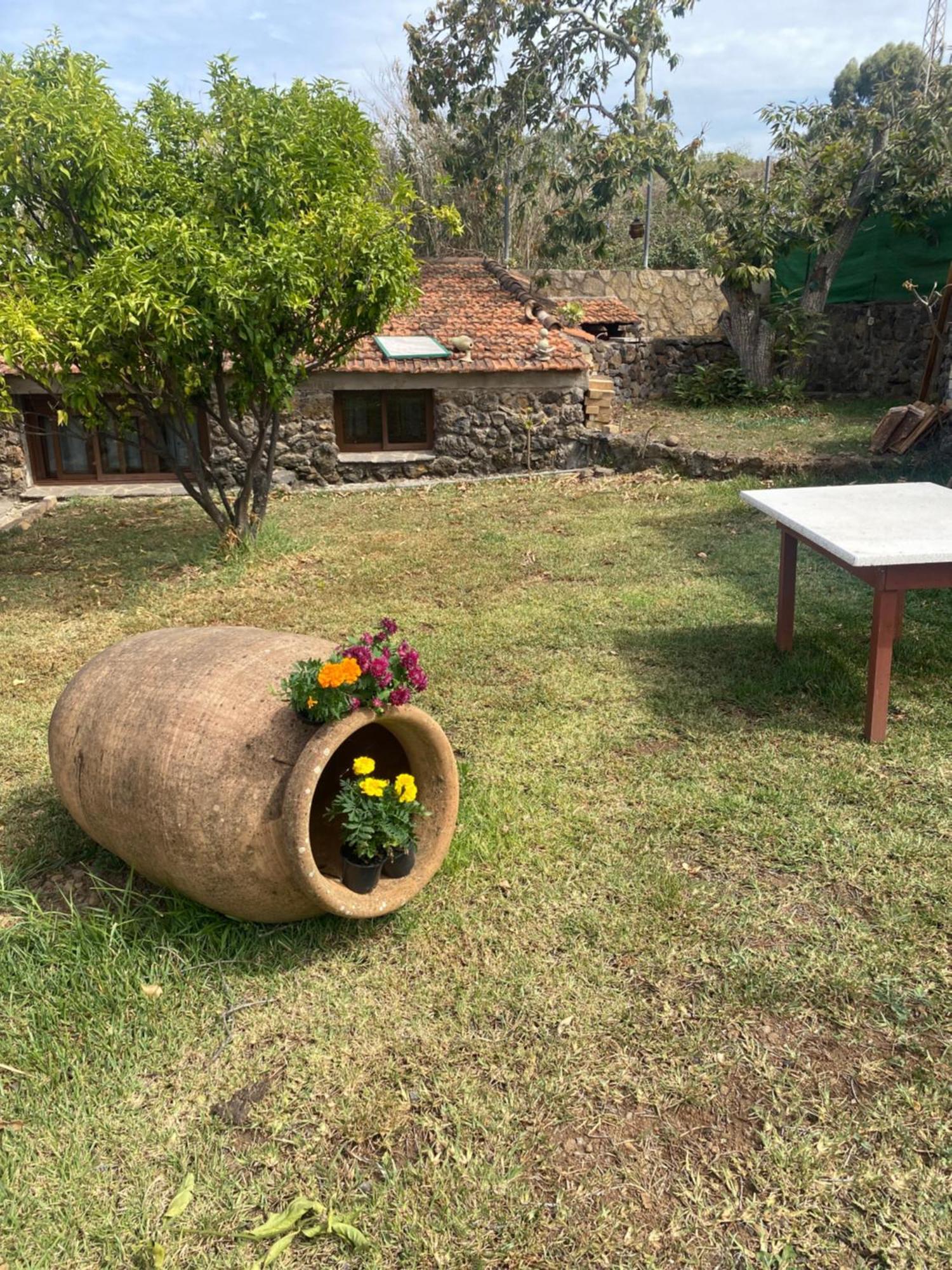 Rural House To Take A Break, La Serreria 25 - Private Garden 塔科龙特 外观 照片