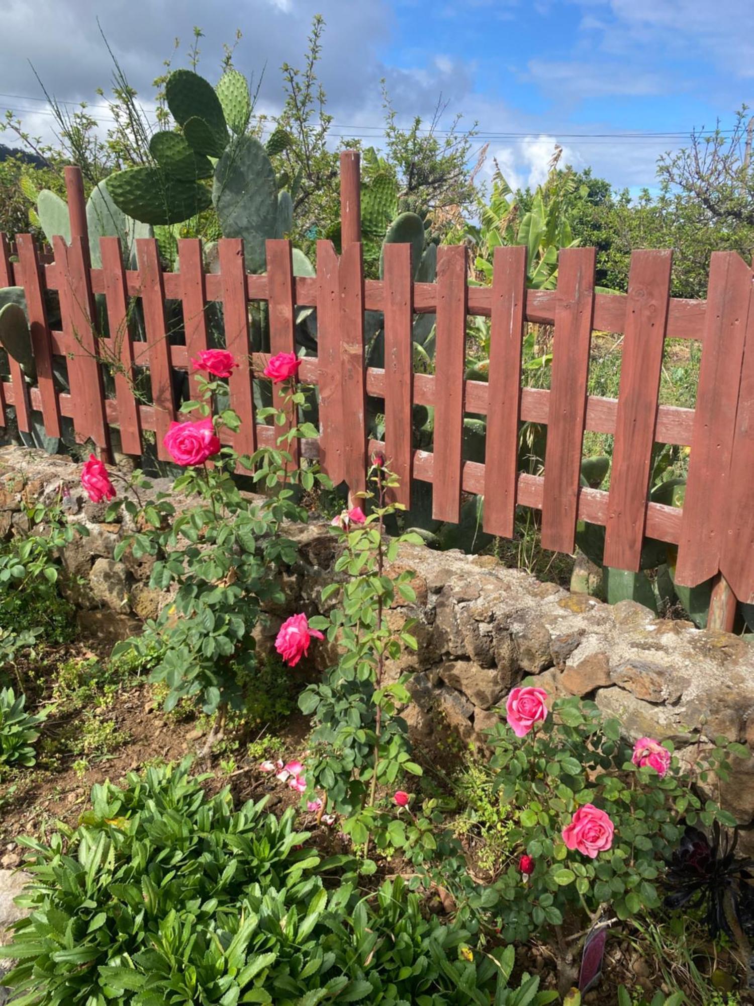 Rural House To Take A Break, La Serreria 25 - Private Garden 塔科龙特 外观 照片