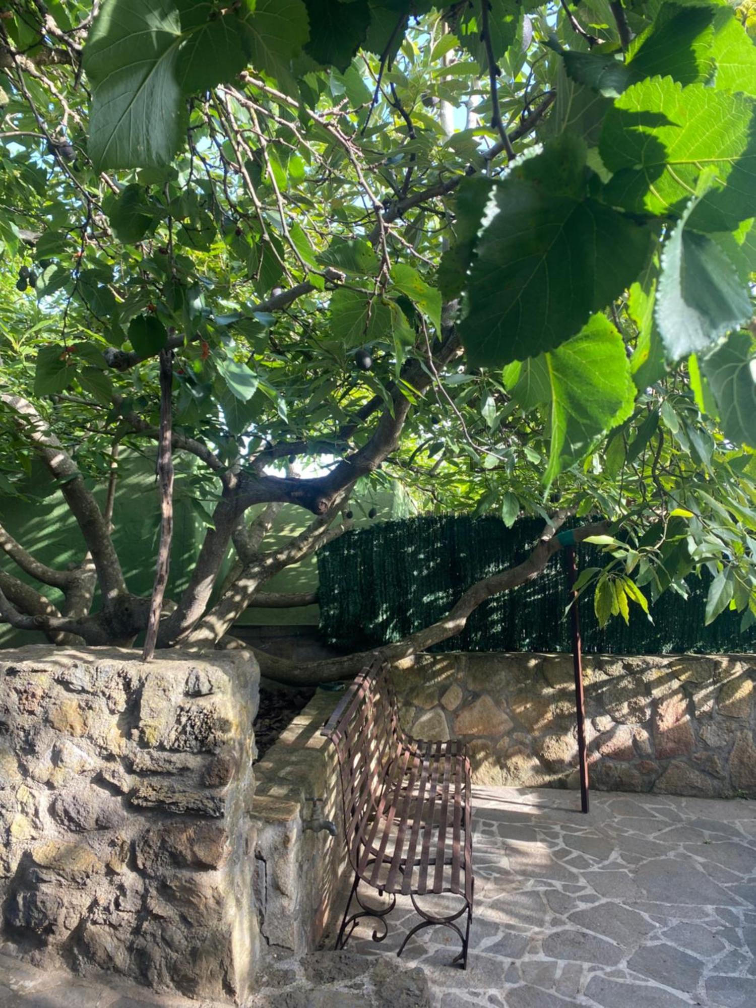 Rural House To Take A Break, La Serreria 25 - Private Garden 塔科龙特 外观 照片